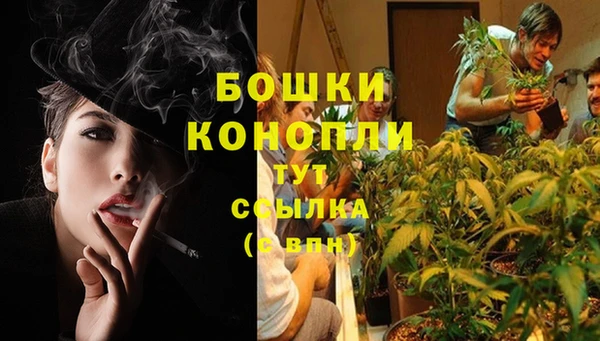 MESCALINE Ростов