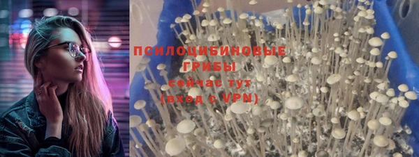 MESCALINE Ростов