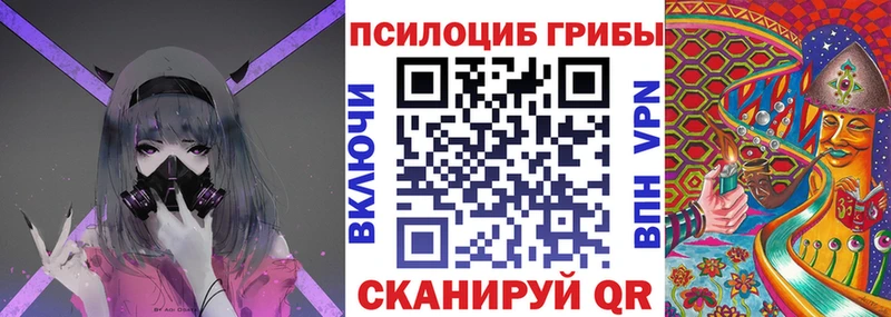 дарнет шоп  Сланцы  Галлюциногенные грибы мухоморы 