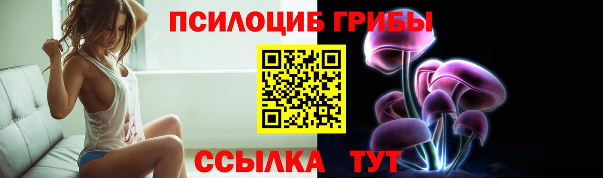 Галлюциногенные грибы мицелий Сланцы