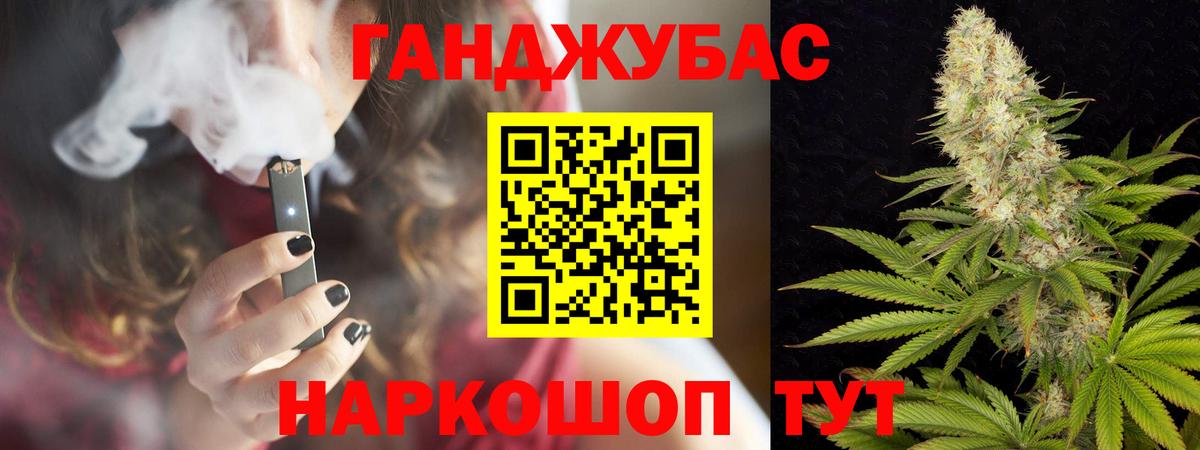 Бошки Шишки конопля Сланцы